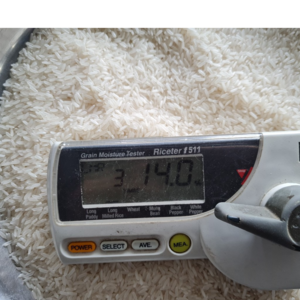 Vietnamese Jasmine Rice - Image 2