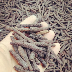 Long Pepper by CV. MADURA COMMODITY