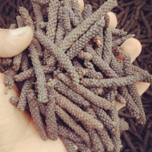 Long Pepper - Image 2