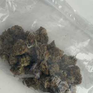 Sativa