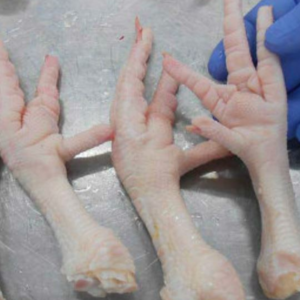 Chicken Feet and Paw for sale