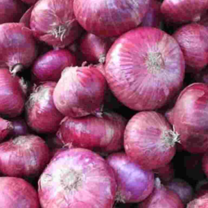 Onion by ZINAN INTERNATIONAL