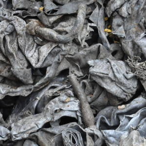 lead scrap / lead ingot by Falak Impex General Trading LLC