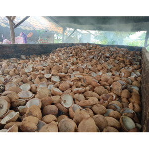 Indonesia Copra (Edible, Regular, & Bulk) By EASTURA Indonesia