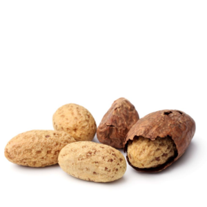 KOLA NUT - Image 2