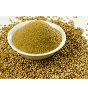 Coriander (Powder, Whole) by A G Infosolve Pvt Ltd