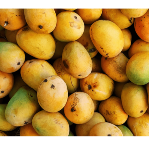 MANGO