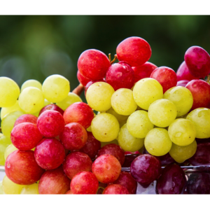 GRAPES by firozkhan enterprises