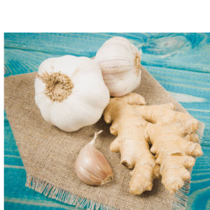 GINGER AND GARLIC by Stock Vegi Exports