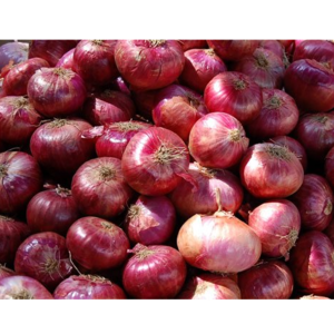 ONION