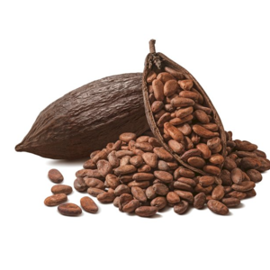 Cocoa Bean by AFRIWIDE