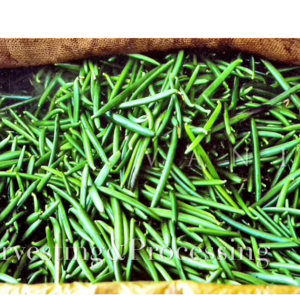 Vanilla Beans - Image 2