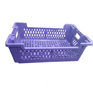 Plastic Storage Crates for Food Industry