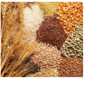 Agricultural Products