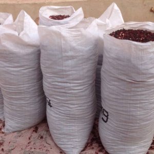 Hibiscus Flower - Image 2