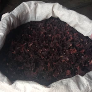 Hibiscus Flower - Image 3