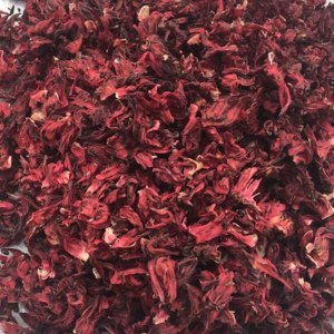 Hibiscus Flower - Image 4