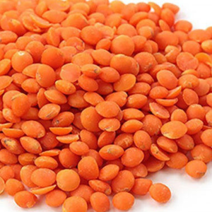 Red Lentils