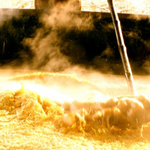 NATURAL JAGGERY - Image 3