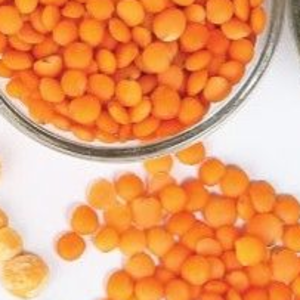 PULSES - Image 2