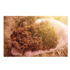 Coco Peat
