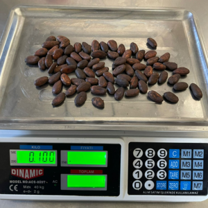 Cacao Beans