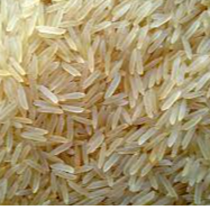GOLDEN SELLA 1121 rice