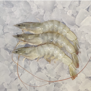 FROZEN HEAD ON VANNAMEI SHRIMP