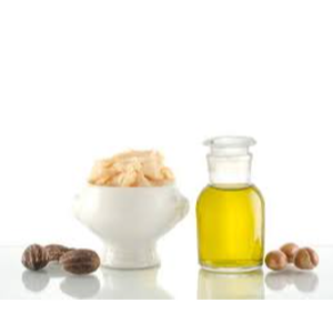shea oil