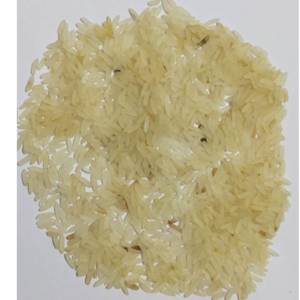 Sona mukhi rice by MINERVA TIE UP PVT.LTD