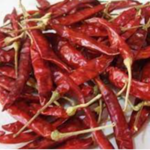 Dried Red Chillies by Shree Venkatesh Corporation