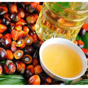 Palm Oil (PKO)