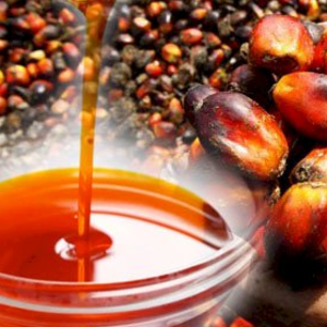 refined palm oil