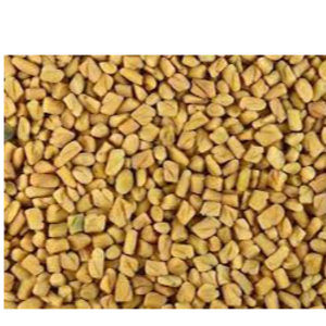 FENUGREEK SEED