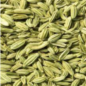 FENEL SEED