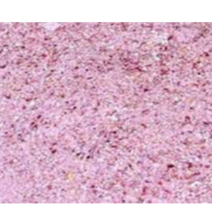 DEHYDRATED PINKONION GRANULES by KAPADIYA EXPO COMPANY