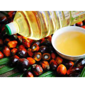 Palm Oil by PT Golden Terrac International