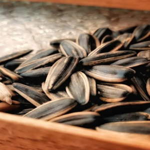 Sunflower seed from Kenya