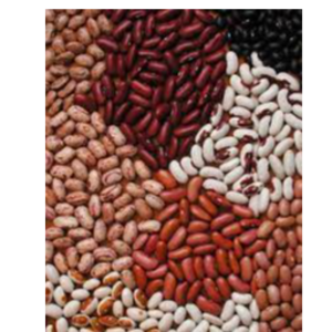 Kidney beans