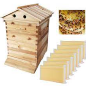 Wooden beekeeping equipment: