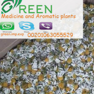 Chamomile flower High Quality Certificated