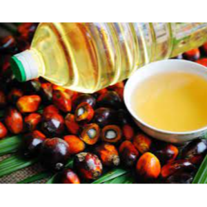 Palm Oil by KALLY OIL EXPORT