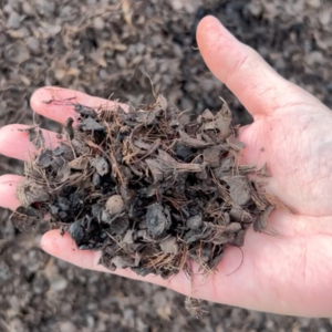 Palm Kernel Shell (Indonesia) by PT Graha Yudha Pratama