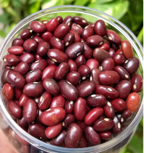 Rajma by smart functional foods Private Limited