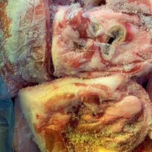 Pork ear(without canal) flaps/Oreja de cerdo (sin canal) colgajos/猪耳(无管)皮瓣