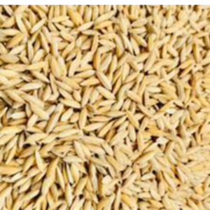 paddy rice by ALIYA AGRO FOOD EXPORTER