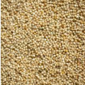 Millet