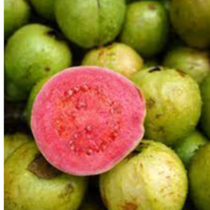 GUAVA