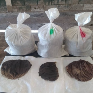 Beef Omasum - Image 2