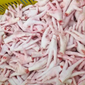 Frozen chicken feet paws in bulk for sale,